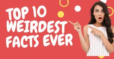 Top 10 Weirdest Facts Ever