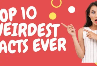 Top 10 Weirdest Facts Ever